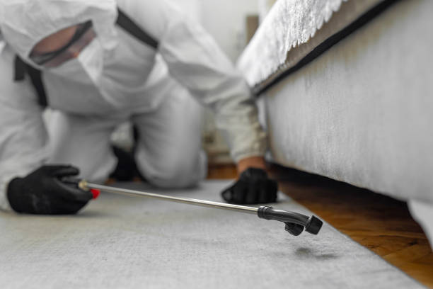 Professional Termite Control technician working in North Bay Village, FL