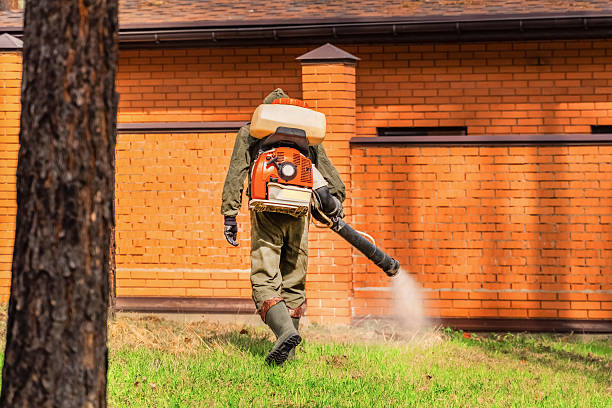 Trusted Mosquito Control service in North Bay Village, FL - Nex Pest Control